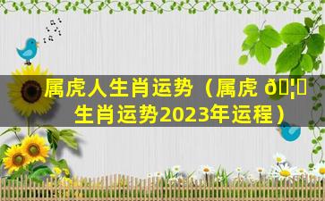 属虎人生肖运势（属虎 🦄 生肖运势2023年运程）